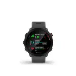 Garmin Forerunner 55 Monterra Grey