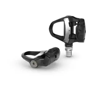 Garmin Rally RS210