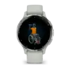 Garmin Venu 3S Sage Gray Passivated